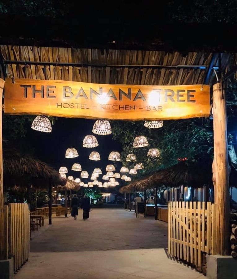 The Banana Tree Hostel Ниньбинь Экстерьер фото